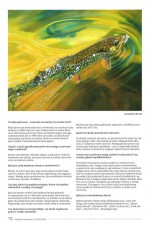 Pg 4