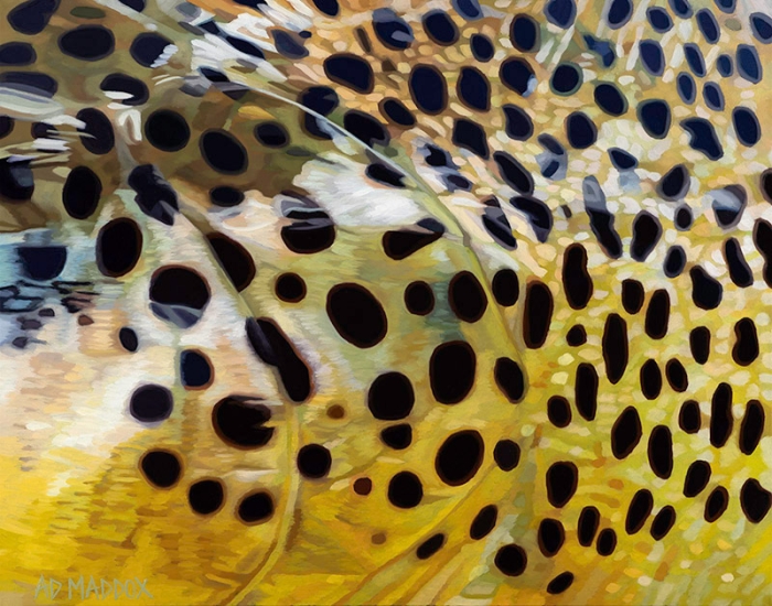 Green River Brown I