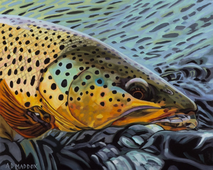 Henry's Fork Brown