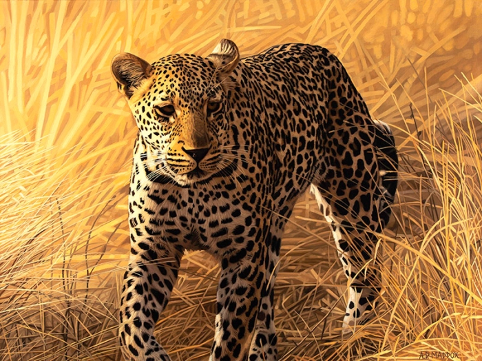Leopard Series 2 30x40