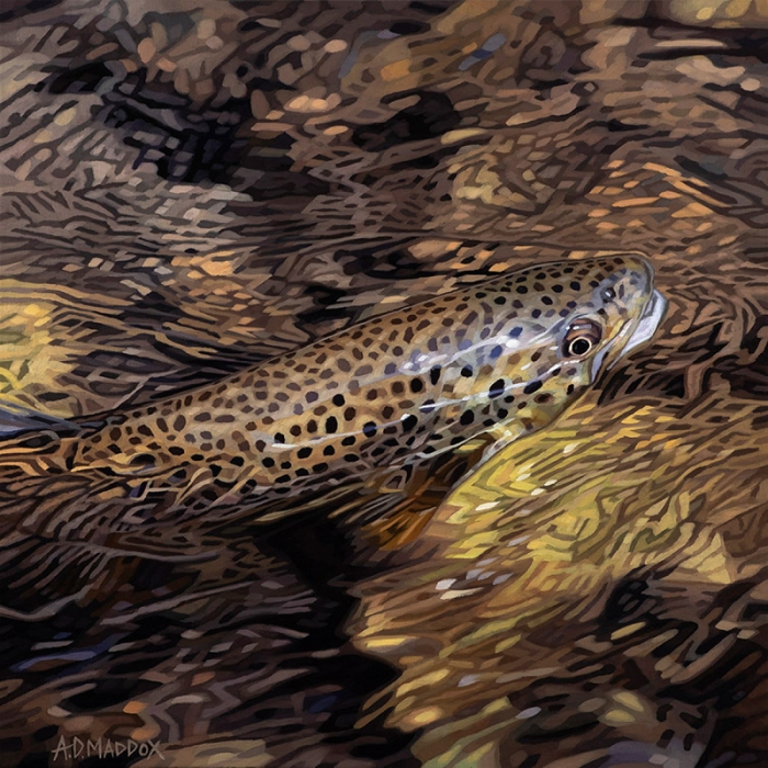 Secluded Water Series 13